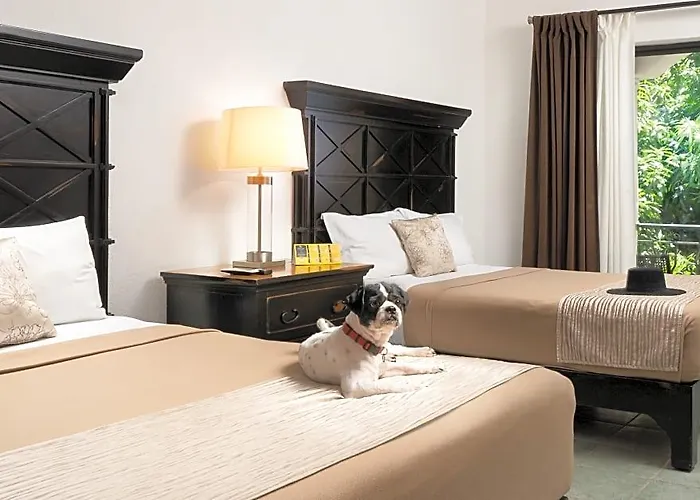 Hotel Hacienda Paradise 4*
